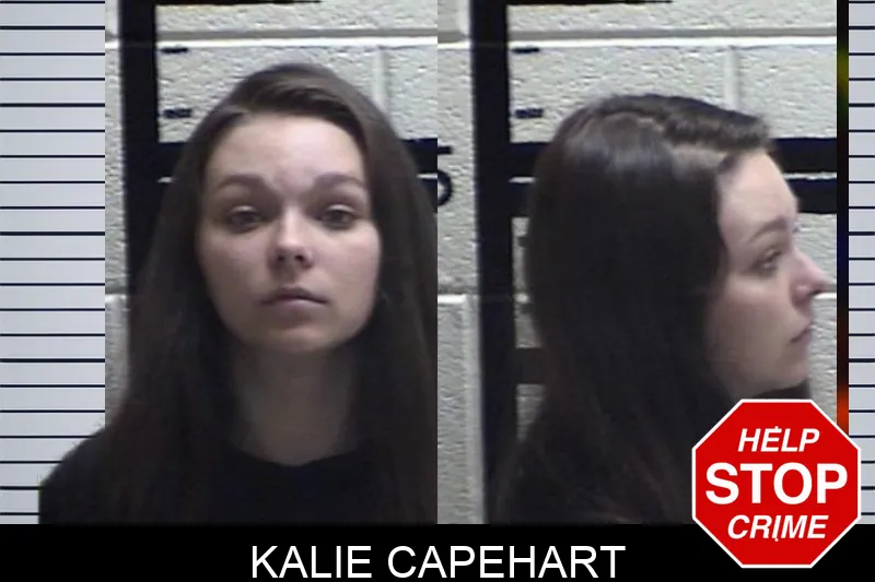 Kalie Capehart mugshot