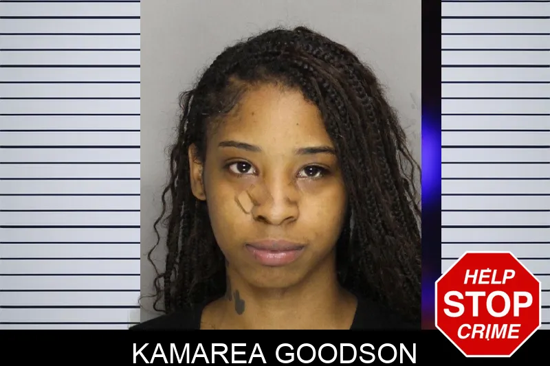 Kamarea Goodson mugshot – Cobb County , Georgia Kamarea Goodson mugshot
