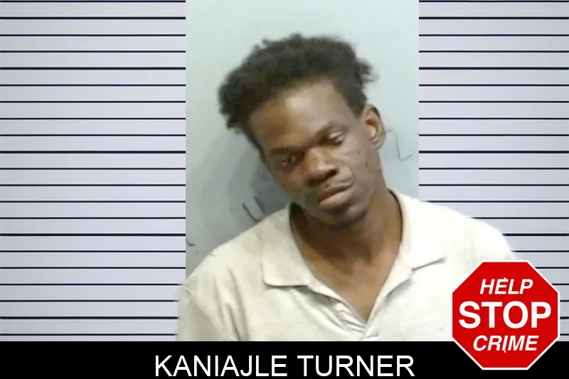 Kaniajle Turner mugshot – Fulton County , Georgia Kaniajle Turner mugshot