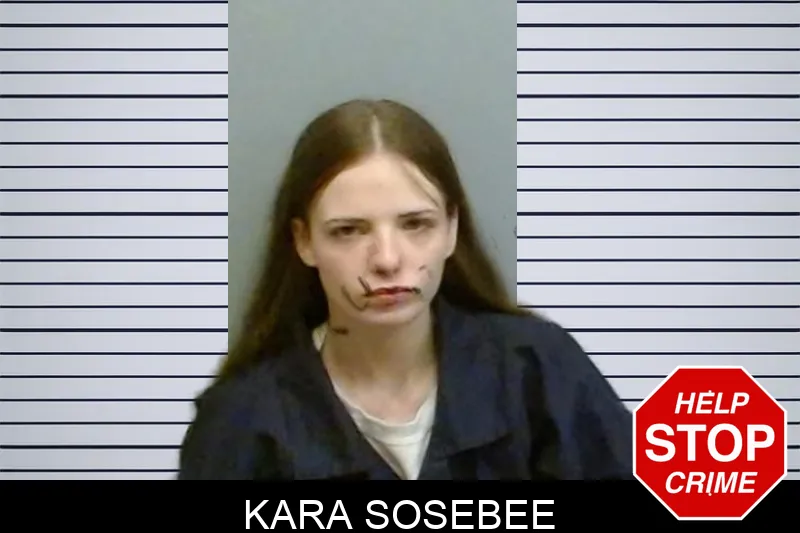 Kara Sosebee mugshot – Fulton County , Georgia Kara Sosebee mugshot