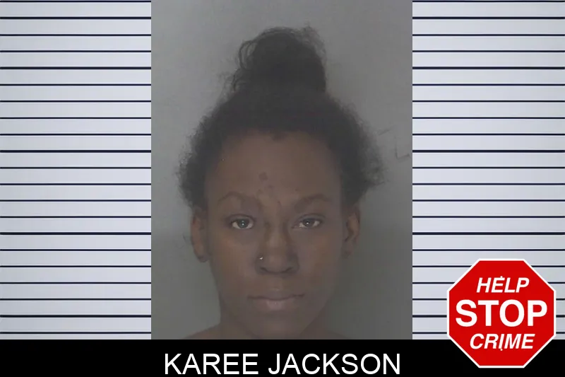 Karee Jackson mugshot – Douglas County , Georgia Karee Jackson mugshot