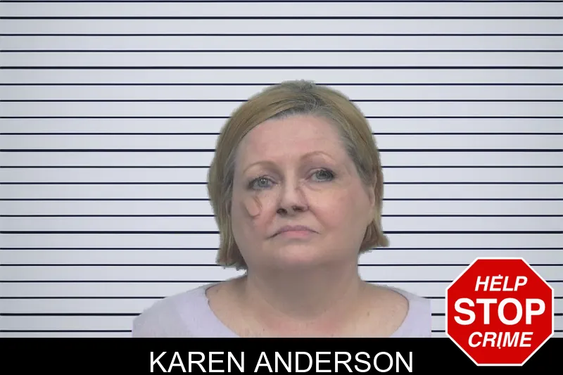 Karen Anderson mugshot