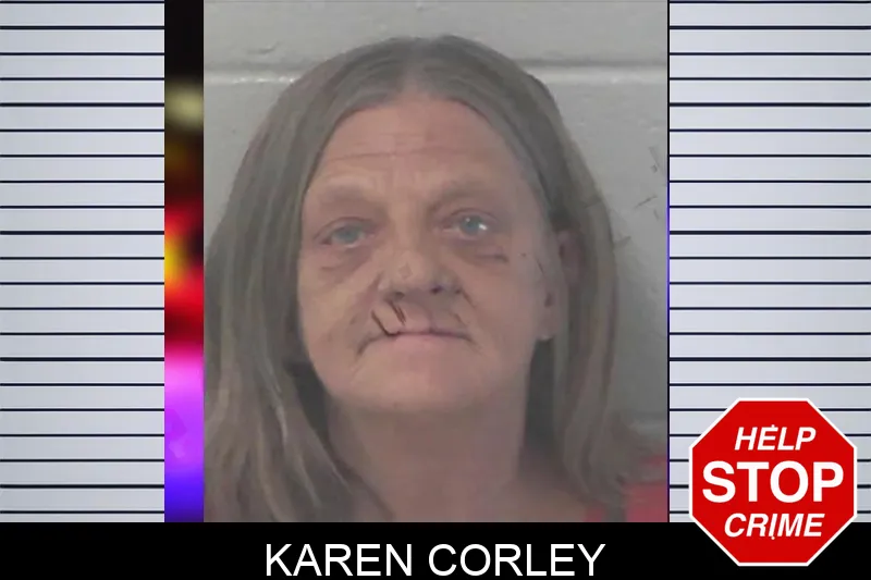 Karen Corley mugshot
