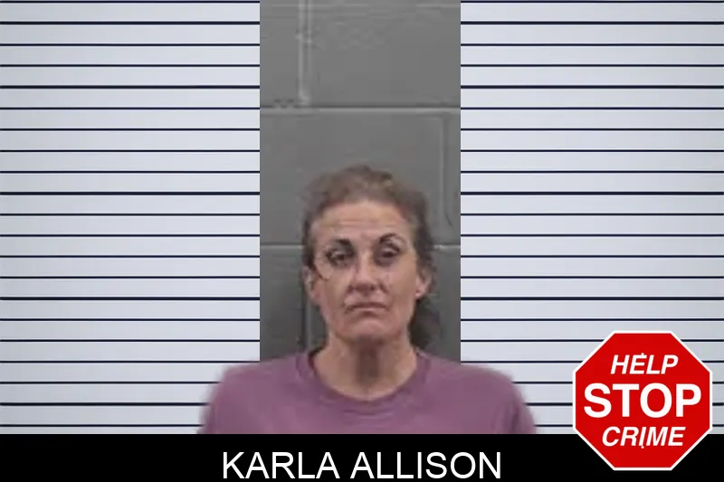 Karla Allison mugshot