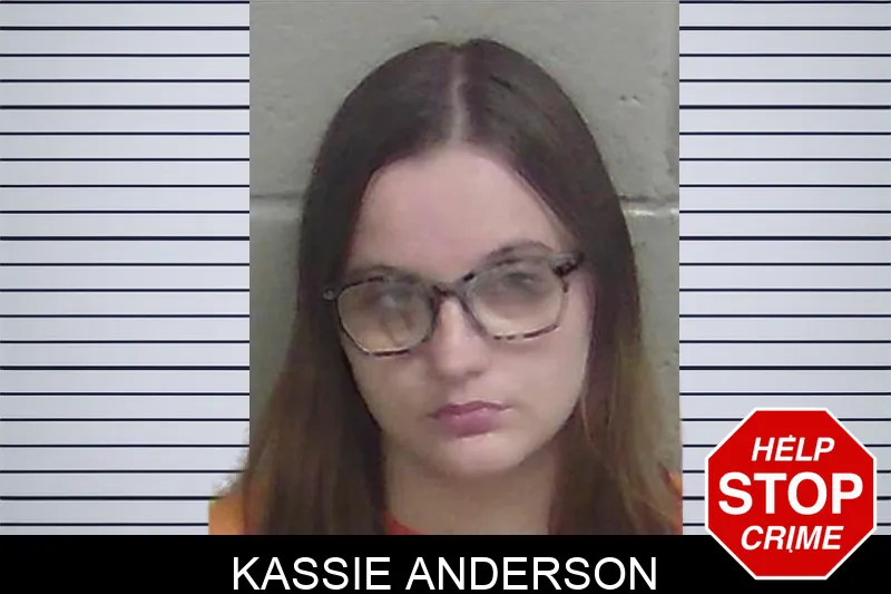 Kassie Anderson mugshot