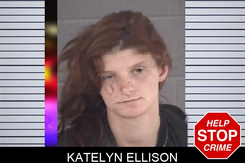 Katelyn Ellison mugshot