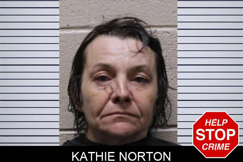 Kathie Norton mugshot