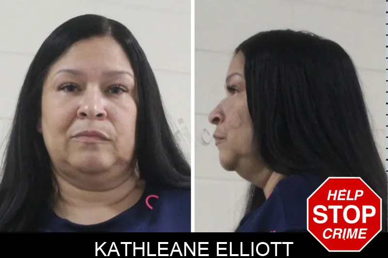 Kathleane Elliott mugshot – Houston County , Georgia Kathleane Elliott mugshot