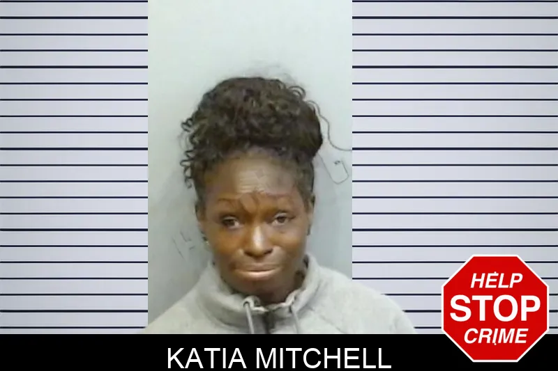 Katia Mitchell mugshot