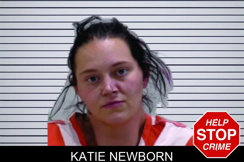 Katie Newborn mugshot – Bartow County , Georgia Katie Newborn mugshot