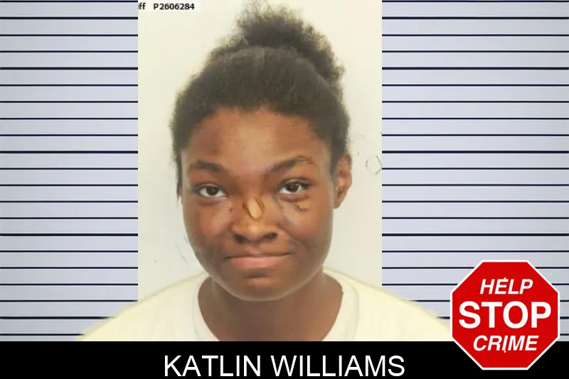 Katlin Williams mugshot