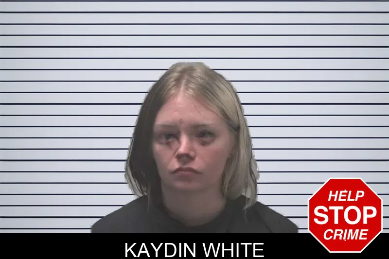 Kaydin White mugshot – Coweta County , Georgia Kaydin White mugshot