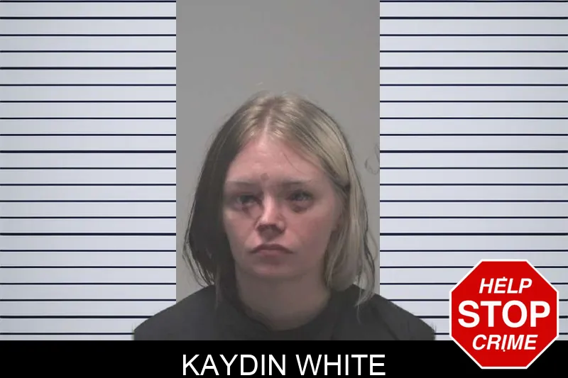 Kaydin White mugshot – Coweta County , Georgia Kaydin White mugshot