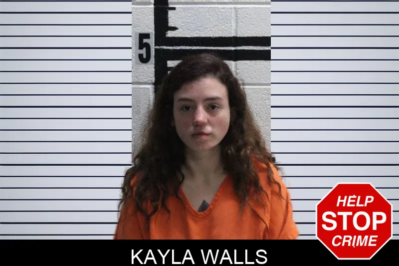 Kayla Walls mugshot – Murray County , Georgia Kayla Walls mugshot