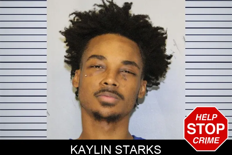 Kaylin Starks mugshot