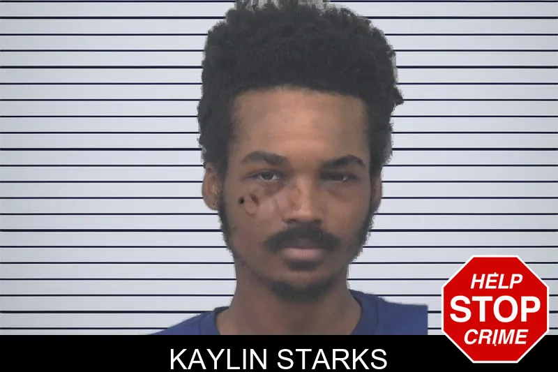 Kaylin Starks mugshot