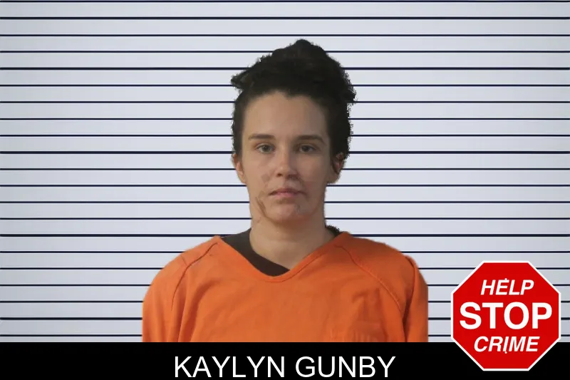 Kaylyn Gunby mugshot – Lumpkin County , Georgia Kaylyn Gunby mugshot
