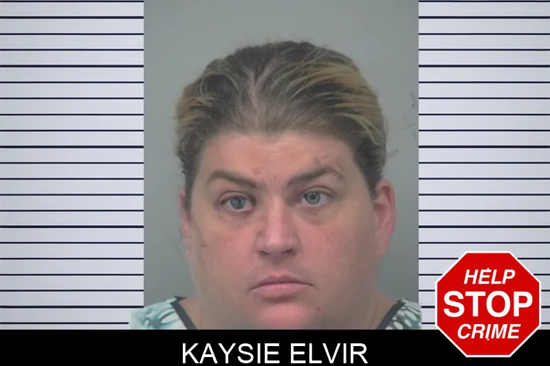Kaysie Elvir mugshot