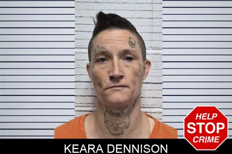 Keara Dennison mugshot – Dade County , Georgia Keara Dennison