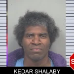 Kedar Shalaby mugshot
