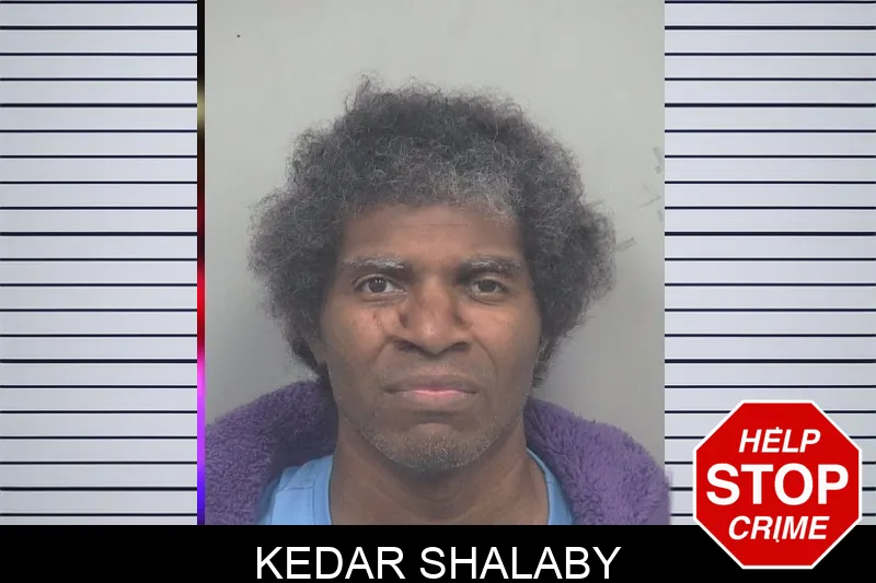 Kedar Shalaby mugshot