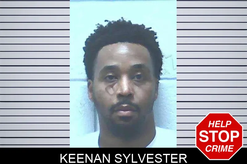 Keenan Sylvester mugshot – Jackson County , Georgia Keenan Sylvester mugshot