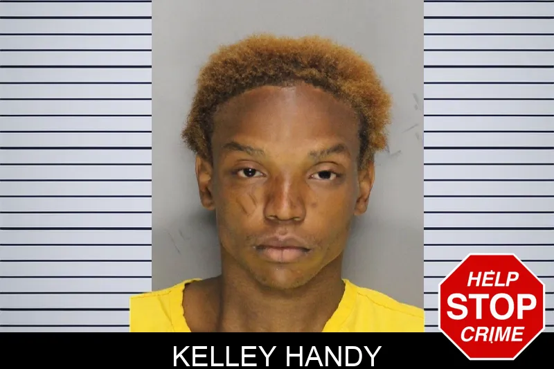 Kelley Handy mugshot – Cobb County , Georgia Kelley Handy mugshot