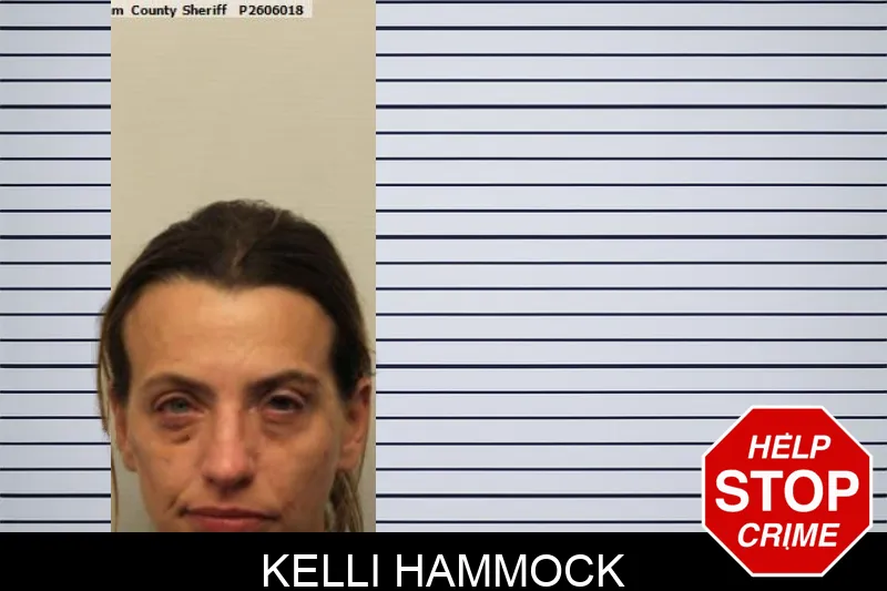 Kelli Hammock mugshot