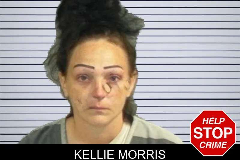 Kellie Morris mugshot
