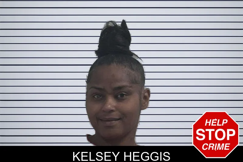 Kelsey Heggis mugshot – McDuffie County , Georgia Kelsey Heggis mugshot