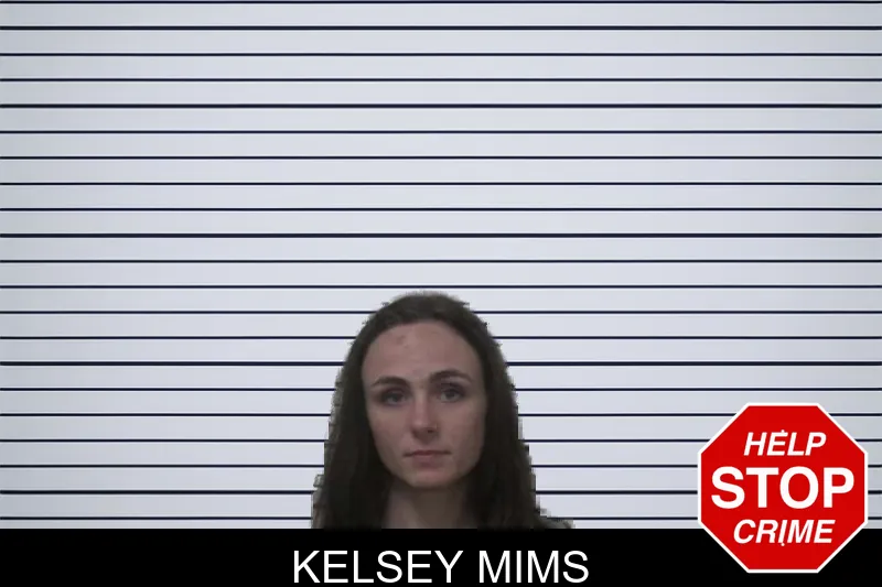 Kelsey Mims mugshot