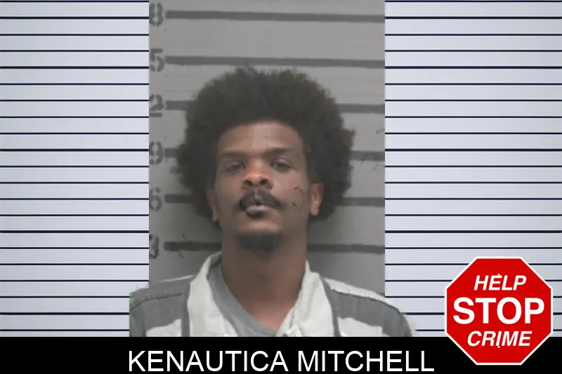 Kenautica Mitchell mugshot