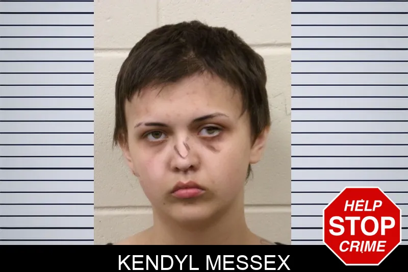 Kendyl Messex mugshot – Bulloch County , Georgia Kendyl Messex mugshot