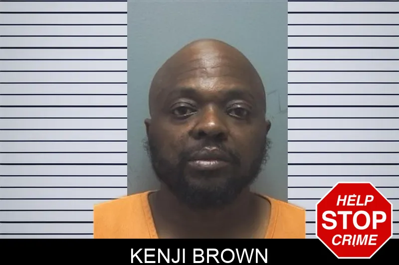 Kenji Brown mugshot – Cherokee County , Georgia Kenji Brown mugshot