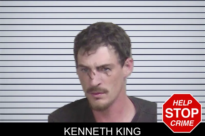 Kenneth King mugshot