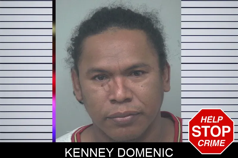 Kenney Domenic mugshot