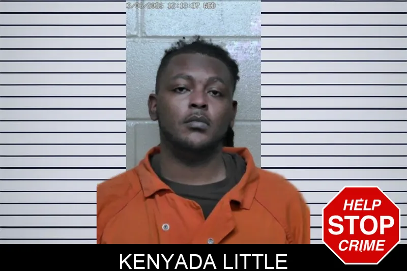 Kenyada Little mugshot – Ben Hill County , Georgia Kenyada Little mugshot