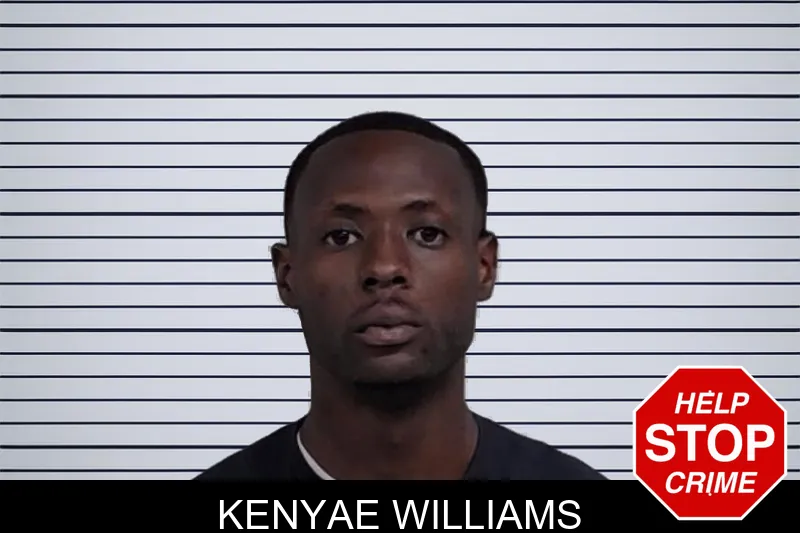 Kenyae Williams mugshot – Lowndes County , Georgia Kenyae Williams mugshot