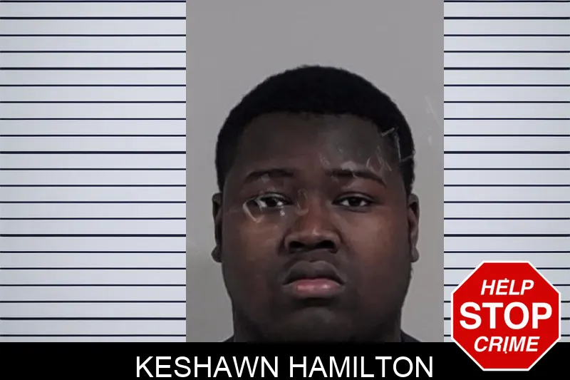 Keshawn Hamilton mugshot