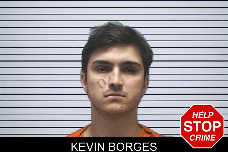 Kevin Borges mugshot