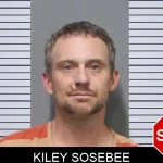 Kiley Sosebee mugshot