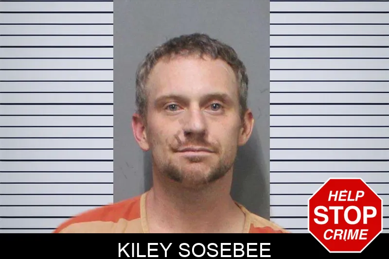 Kiley Sosebee mugshot