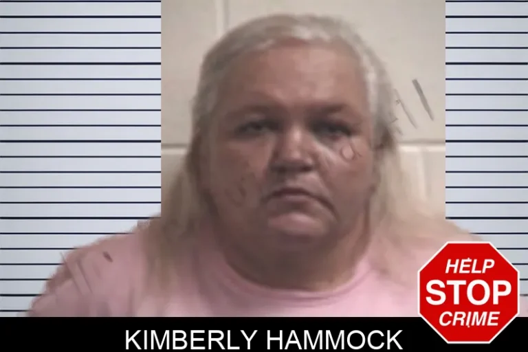 Kimberly Hammock mugshot – Henry County , Georgia Kimberly Hammock