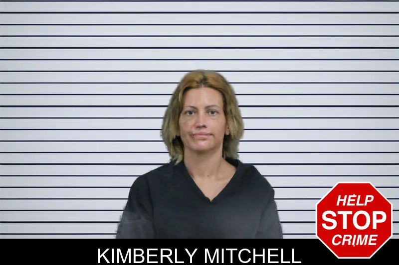 Kimberly Mitchell mugshot
