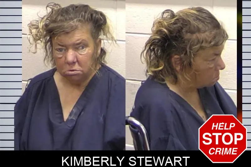 Kimberly Stewart mugshot