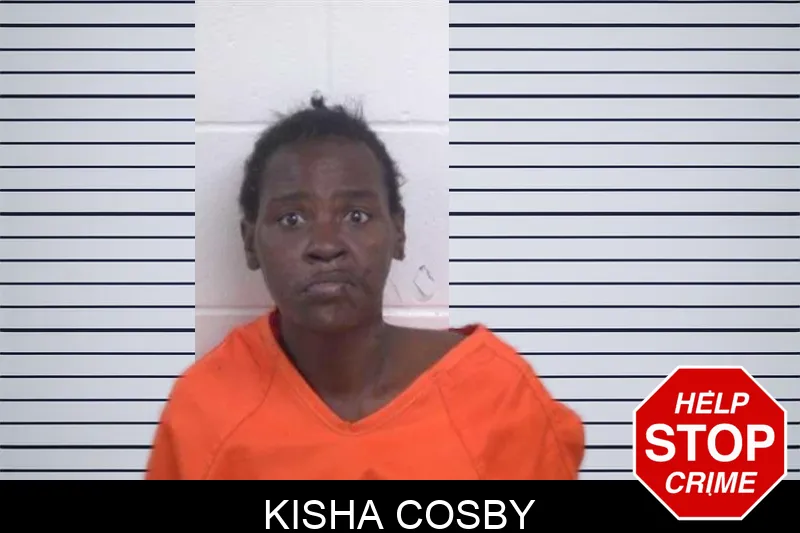 Kisha Cosby mugshot – Washington County , Georgia Kisha Cosby mugshot
