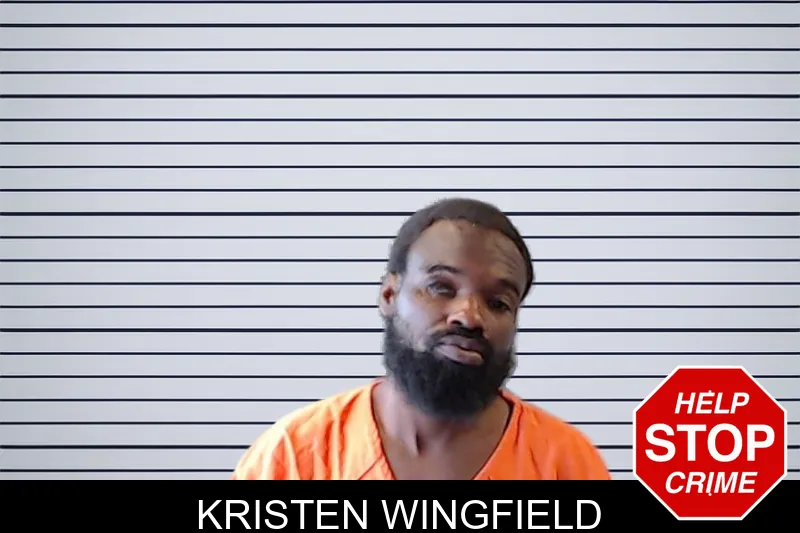 Kristen Wingfield mugshot