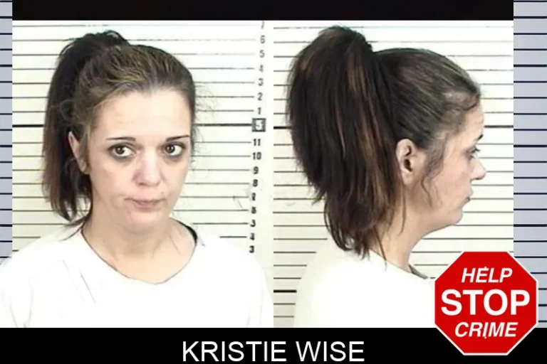 Kristie Wise mugshot – Camden County , Georgia Kristie Wise