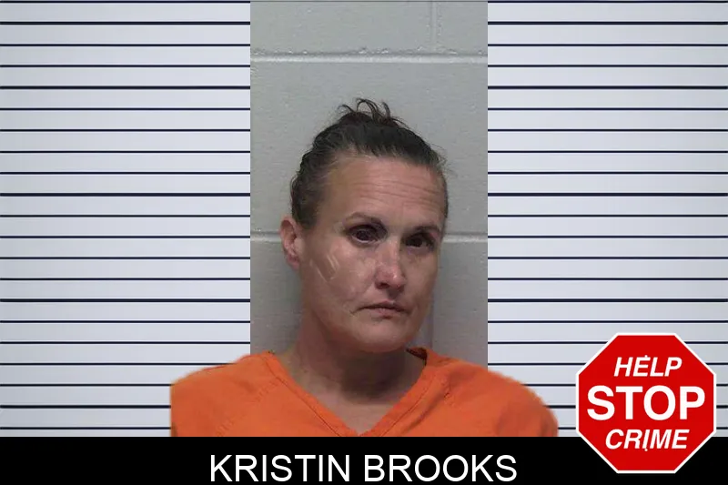 Kristin Brooks mugshot