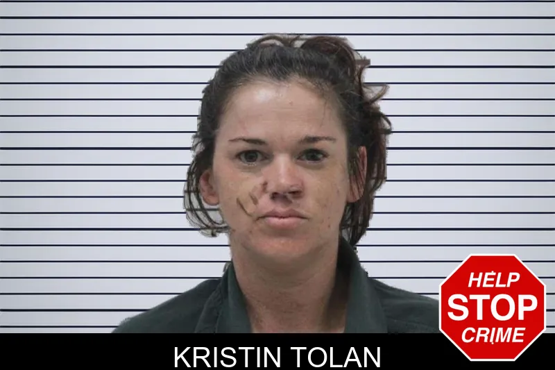 Kristin Tolan mugshot